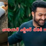 JR NTR : ఎన్టీఆర్ కు గాయం నిజమే.. కానీ ?