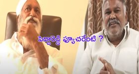 Kethireddy Peddareddy: బుసలు కొడుతోన్న ఫ్యాక్షన్ రాజకీయం.. పరేషాన్ లో పెద్దారెడ్డి