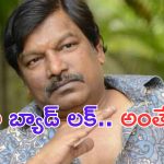 Krishna Vamsi: పవన్ కళ్యాణ్ తో సినిమా.. నా దురదృష్టం అంతే