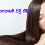 Hair Growth Tips: జుట్టు బాగా పెరగాలా ? అయితే  ఈ టిప్స్ ఫాలో అవ్వండి