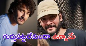 Rajasekhar: మళ్లీ మగాడుగా వస్తున్న రాజశేఖర్.. ?