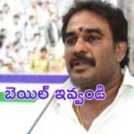 Pinnelli Ramakrishna: ప్లీజ్ బెయిల్ ఇవ్వండి.. పిన్నెల్లి రిక్వెస్ట్