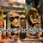 Naga panchami 2024: నేడు నాగ పంచమి..శుభ ముహూర్తం ఎప్పుడంటే?