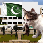 Pakistan Government: ఆ దేశంలో పిల్లుల పెంపకం కోసం  పార్లమెంట్ లో ఏకంగా రూ.12 లక్షల బడ్జెట్ కేటాయింపు?