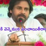 Deputy CM : సినిమాలు సినిమాలే.. రాజకీయాలు రాజకీయాలే.. అలాంటి వ్యక్తిని కాను : పవన్ కల్యాణ్