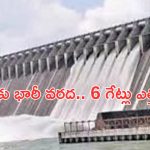 Nagarjuna Sagar Dam: నాగార్జునసాగర్‌కు భారీగా వరద ప్రవాహం..6 గేట్లు ఎత్తివేత