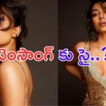 Sobita Dhulipala: అక్కినేని కోడలు.. ఐటెంసాంగ్.. ?