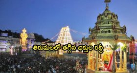 Vinesh Phogat: వినేశ్ కి ఎవరూ డబ్బులివ్వలేదు: భర్త సోమ్ వీర్