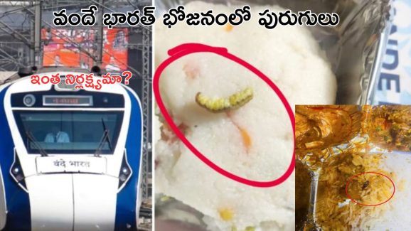 Insect In Vande Bharat Meals| వందే భారత్ ఎక్స్ ప్రెస్ ఆహారంలో పురుగు.. ఏడాదిలోనే మూడోసారి.. రైల్వేశాఖ ఇంత నిర్లక్ష్యమా!