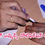 Vizag MLC Elections: విశాఖ స్థానిక సంస్థల ఎమ్మెల్సీ ఎన్నికల నోటిఫికేషన్‌ రిలీజ్