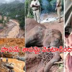 Wayanad Tragedy : వయనాడ్ ను ఆ శాపం వెంటాడిందా ? నెట్టింట జోరుగా ప్రచారం..