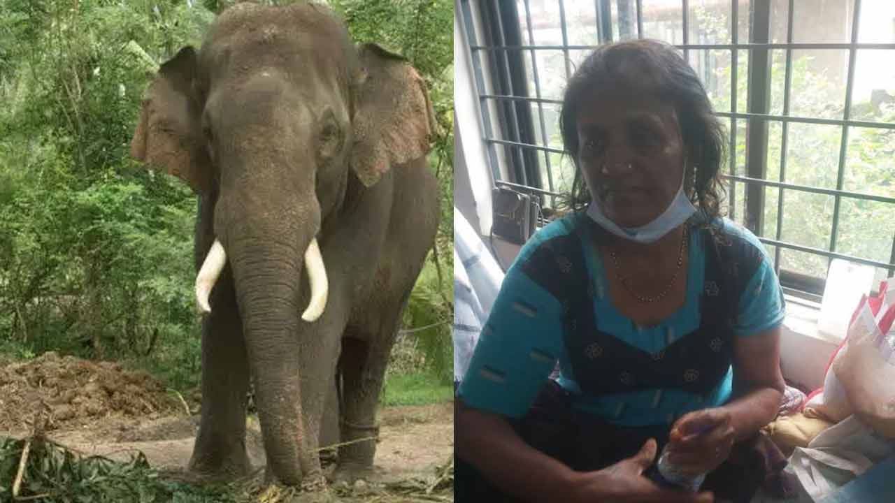 Elephant Rescues Wayanad Victims| 'రాత్రంతా ఆ ఏనుగే మమల్ని కాపాడింది'.. వయనాడ్ బాధితురాలి వింత కథ!