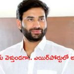 YCP Leader Devineni Avinash: వైసీపీ నేత అవినాష్‌కు బిగ్ షాక్.. దుబాయ్ వెళ్తుండగా అడ్డుకున్న పోలీసులు