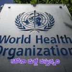 Covid: బీ కేర్‌ఫుల్.. కరోనా కేసుల మళ్లీ పెరుగుతున్నాయి: డబ్ల్యూహెచ్‌వో వార్నింగ్