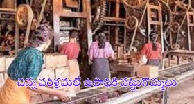 Small Scale Industries: చిన్న పరిశ్రమలతోనే పెద్ద మార్పు