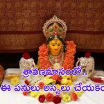 Shravana Masam 2024: శ్రావణమాసంలో ఈ పనులు అస్సలు చేయకండి..