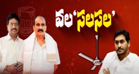 YSRCP Petition: తిరుమల లడ్డూ వివాదం.. హైకోర్టులో వైసీపీ పిటిషన్, న్యాయస్థానం కీలక వ్యాఖ్యలు