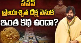 DY CM Pawan Kalyan: పవన్ ప్రాయశ్చిత దీక్షవెనుక ఇంత కథ ఉందా ?