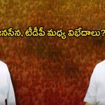 Balineni Vs Damacharla: బాలినేని చిచ్చు.. జనసేన, టీడీపీ మధ్య విభేదాలు?