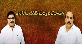 Balineni Vs Damacharla: బాలినేని చిచ్చు.. జనసేన, టీడీపీ మధ్య విభేదాలు?