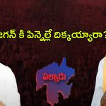 YS Jagan: పిన్నెల్లే దిక్కయ్యారా?.. జగన్ వ్యూహమేంటి?