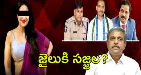Vitamin deficiency: మీకు విపరీతంగా జుట్టు రాలిపోతుందా? అయితే ఈ విటమిన్ల లోపం ఉన్నట్టే, వీటిని తినండి