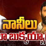 Pawan Kalyan: పవన్ కళ్యాణ్ జోలికొచ్చి బుక్కైన నానీలు..