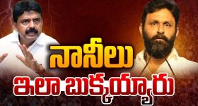 Pawan Kalyan: పవన్ కళ్యాణ్ జోలికొచ్చి బుక్కైన నానీలు..
