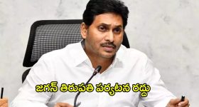 Pawan Kalyan: పవన్ కళ్యాణ్ జోలికొచ్చి బుక్కైన నానీలు..