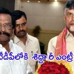 Sidda Raghavrao: సొంతగూటికి శిద్దా రీ ఎంట్రీ? చంద్రబాబు గ్రీన్ సిగ్నెల్ ఇచ్చారా?