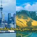 New Zealand: న్యూజిలాండ్‌ను వీడుతున్న ప్రజలు.. అదోగతిలో అందాల దీవి, అసలు ఏమైంది?