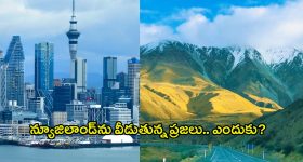 After Meals: పొట్ట రోజు రోజుకి పెరిగిపోతోందా? భోజనం చేశాక 20 నిమిషాల పాటు ఈ పని చేయండి, బరువు త్వరగా తగ్గుతారు
