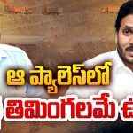 Venkat Reddy: ఆ ప్యాలెస్ లోపెద్ద తిమింగలమే ఉంది