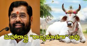 KTR: మూసీ పేరుతో బడా స్కెచ్.. రూ. లక్ష కోట్లు స్వాహా : కేటీఆర్