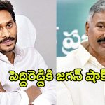  YS Jagan: పెద్దిరెడ్డిని సైడ్ చేసిన జగన్.. పుండు మీద కారం