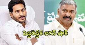  YS Jagan: పెద్దిరెడ్డిని సైడ్ చేసిన జగన్.. పుండు మీద కారం