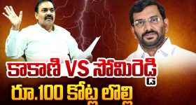 Weight Loss Tips: బరువు తగ్గించే 5 మార్గాల గురించి మీకు తెలుసా ?