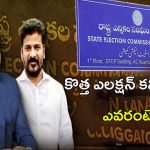 New Election Commissioner: తెలంగాణ కొత్త ఎలక్షన్ కమీషనర్.. ఎవరంటే?
