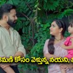 Trinayani Serial Today September 24th: ‘త్రినయని’ సీరియల్‌: అడవిలో స్పృహ కోల్పోయిన విశాల్‌ – నయనికి దారి చూపించిన కావులమ్మ