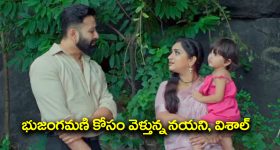 Trinayani Serial Today September 24th: ‘త్రినయని’ సీరియల్‌: అడవిలో స్పృహ కోల్పోయిన విశాల్‌ - నయనికి దారి చూపించిన కావులమ్మ