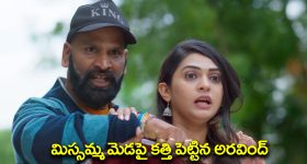 Nindu Noorella Saavasam Serial Today September 28th: ‘నిండు నూరేళ్ల సావాసం’ సీరియల్‌: మిస్సమ్మ మెడపై కత్తి పెట్టిన అరవింద్‌ – రాథోడ్‌ వల్ల ప్లాన్‌ అంతా అట్టర్‌ ప్లాప్‌