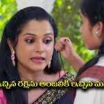 Nindu Noorella Saavasam Serial Today September 22nd: ‘నిండు నూరేళ్ల సావాసం’ సీరియల్‌: అంజుకు రక్షను ఇచ్చిన మనోహరి – మిస్సమ్మకు నిజం చెప్పిన రాథోడ్‌