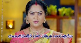 Trinayani Serial Today September 22nd: ‘త్రినయని’ సీరియల్‌: దారి చెప్పిన గాయత్రి దేవి – విశాల్‌ కు అబద్దం చెప్పిన నయని