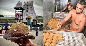 Tulasi Plant: తులసి పూజ ఎప్పుడు చేయాలి, వాయు పురాణం ఏం చెబుతోందంటే..