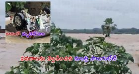 Pimples Removal Tips:మొటిమలు తగ్గడానికి ఇవే బెస్ట్ ఆప్షన్స్ !