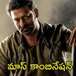 Prabhas Spirit: ఈ కాంబో కుదిరితే పూనకాలే.. ‘స్పిరిట్’లో విలన్స్‌గా ఆ బాలీవుడ్ స్టార్ కపుల్?