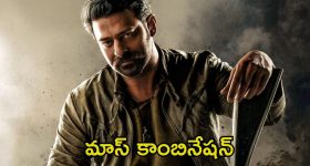 Prabhas Spirit: ఈ కాంబో కుదిరితే పూనకాలే.. ‘స్పిరిట్’లో విలన్స్‌గా ఆ బాలీవుడ్ స్టార్ కపుల్?