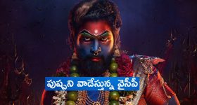 Stylish Star Plexi Viral: వైసీపీ వాడకం వేరయా.. స్టైలిష్ స్టార్ ని ఇలా వాడేస్తున్నారేంటి.. ప్లెక్సీ వైరల్