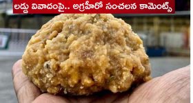AP Govt: రేషన్ కార్డ్ ఉంటే చాలు.. ఈ స్కీమ్ తో వేల రూపాయల ఆదా.. దీపావళి నుండే ప్రారంభం..