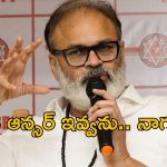 Nagababu Comments: ఆ ఒక్క మాటతో జగన్, ప్రకాష్ రాజ్‌ల పరువు తీసేసిన నాగబాబు.. అందుకే పవన్ అలా స్పందించారట!